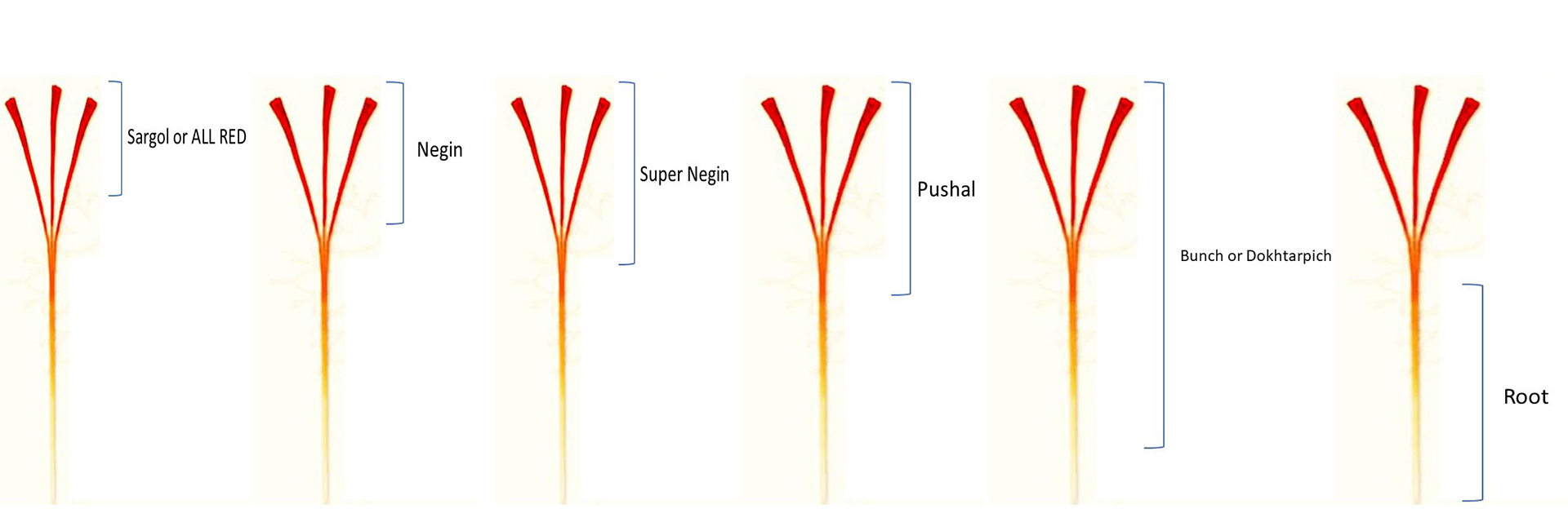 title_69d83561296a15008686911775777121