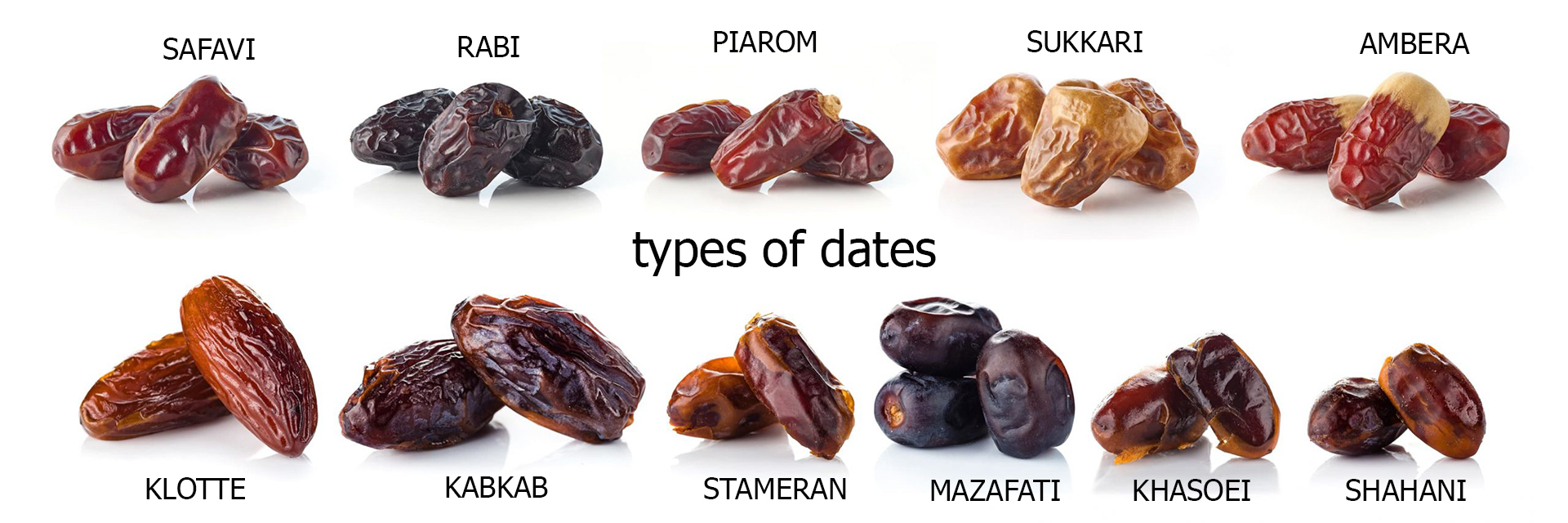 title_69d83561295e45617878841775777121